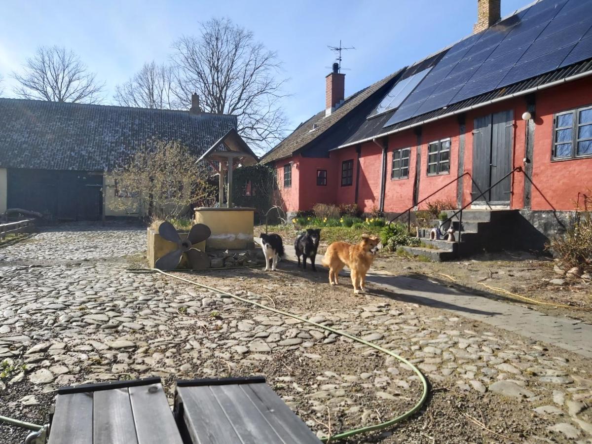 Bolshavnvej5 Bed & Breakfast Exterior foto